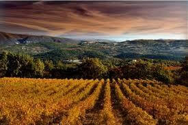 Un automne en Provence
