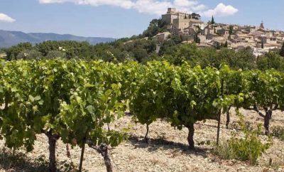 Les vendanges en France