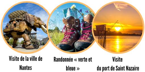 Activities in Nantes