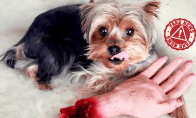 A bit of humor: How to cook Anglo-Saxons