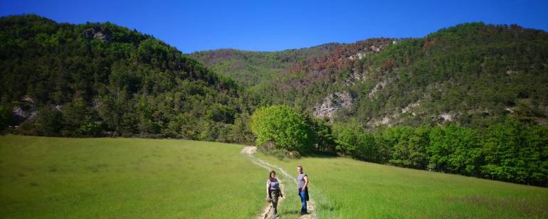 French immersion in the Alps of Haute Provence, Hiking