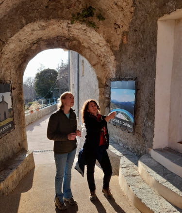 Immersion in provence, guided visit