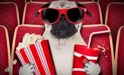 French humor in movies