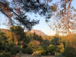 Séjour en immersion de Sharon chez Béatrice près de Aix en Provence, 1