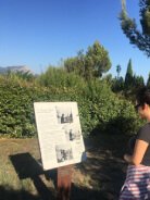 Séjour en immersion de Sharon chez Béatrice près de Aix en Provence, 3