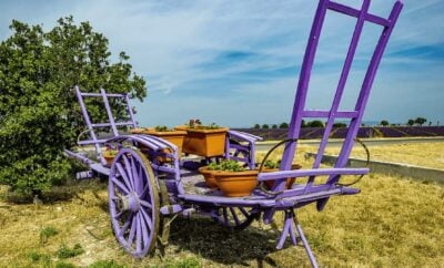 Entreprise et Découverte meets know-how