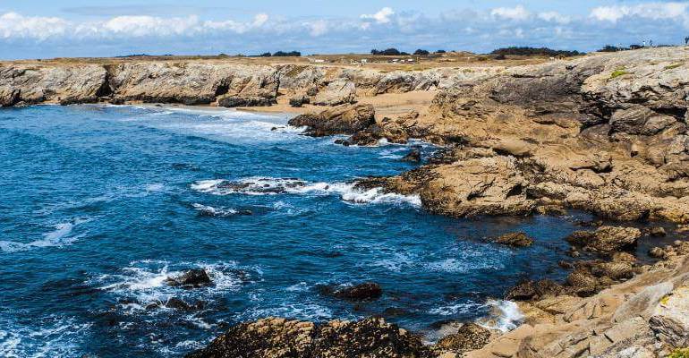 Coralyne - Activities in Vannes