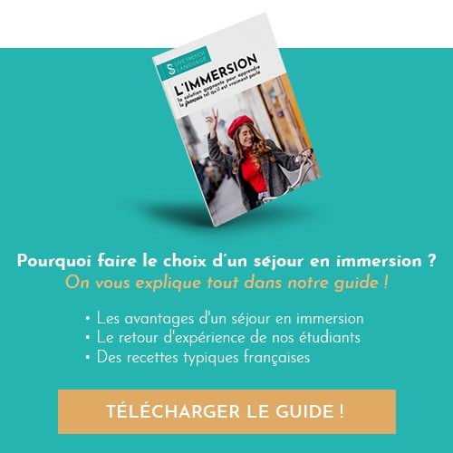 Pourquoi faire le choix d'un séjour en immersion?