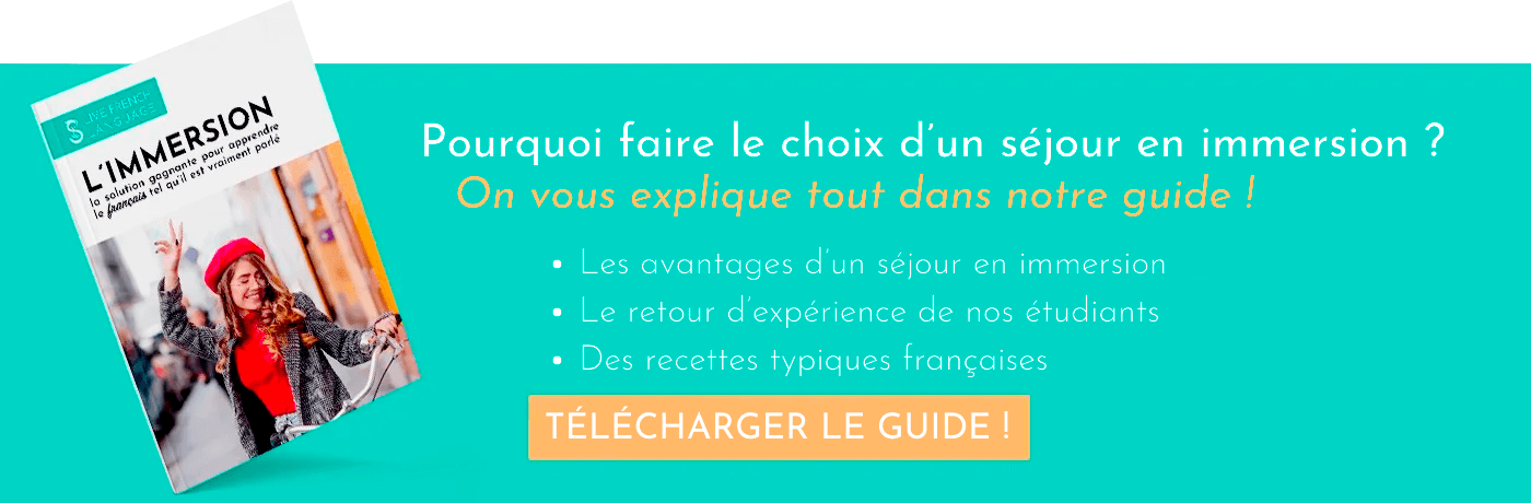 Pourquoi faire le choix d'un séjour en immersion?