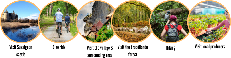 Activities in trinité-Surzur