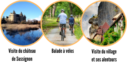 Activities in trinité-Surzur