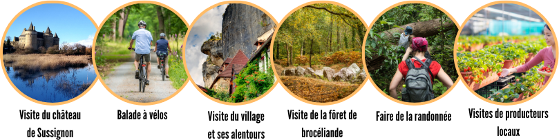 Activities in trinité-Surzur