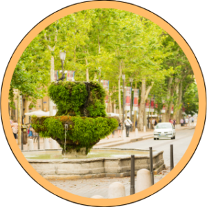 Discover Aix-en-Provence with our “Special Guest” programs in 2026, in collaboration with the famous writer: Janine Marsh!