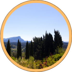 Discover Aix-en-Provence with our “Special Guest” programs in 2026, in collaboration with the famous writer: Janine Marsh!