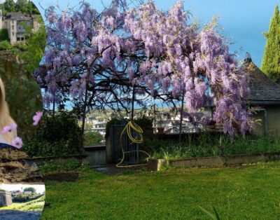 Oloron-Sainte-Marie – Teacher Marianne