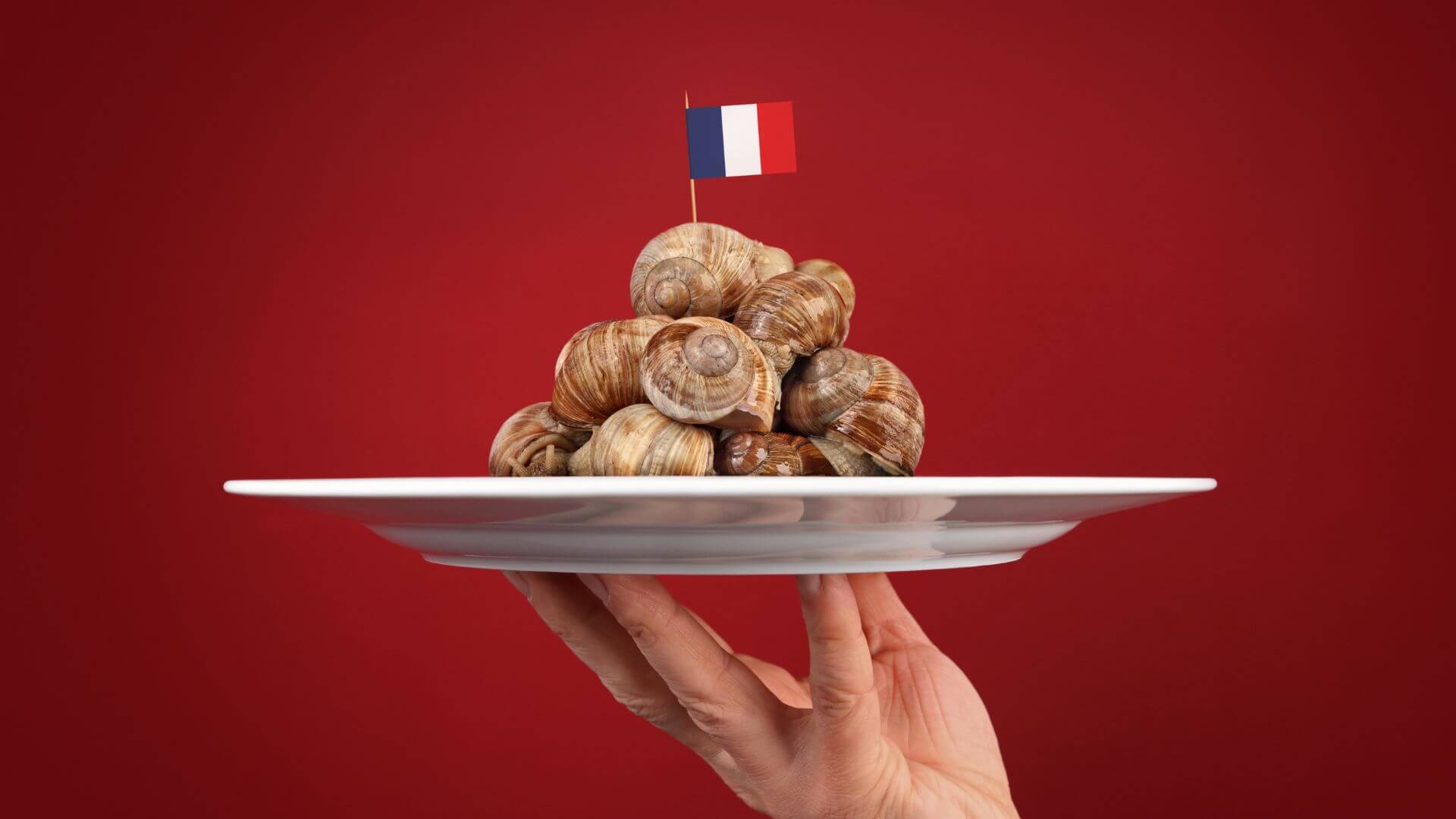 French Survival Guide: Gastronomy French Survival Guide: Gastronomy