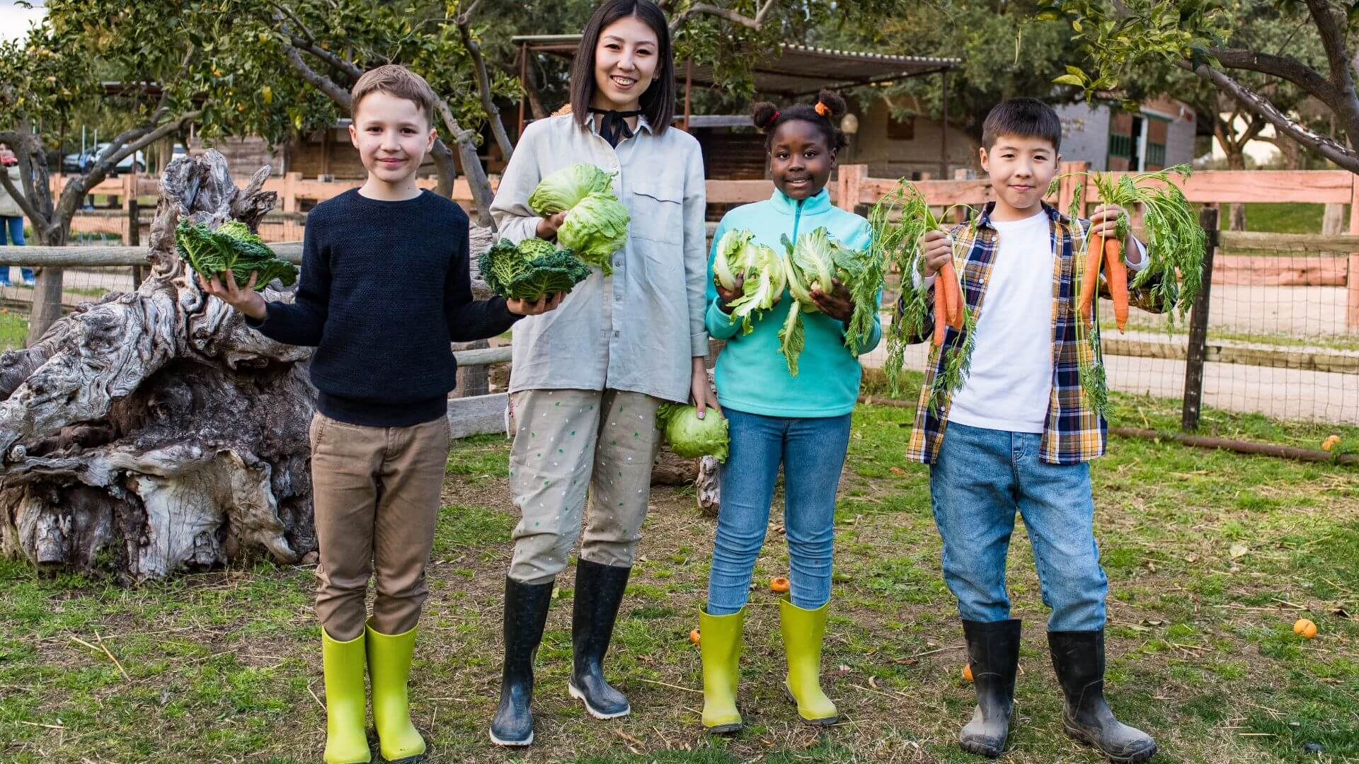 Gestes écologiques produits locaux