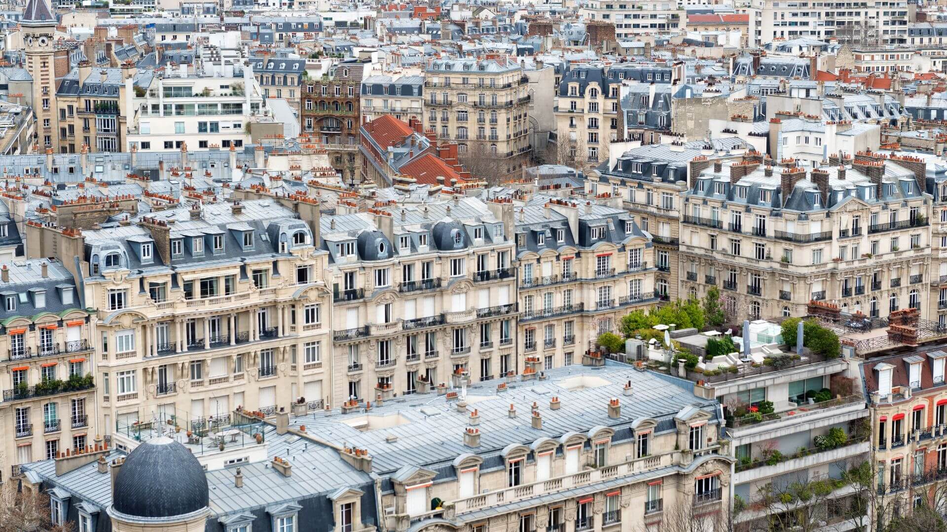 Professions in French: Architect