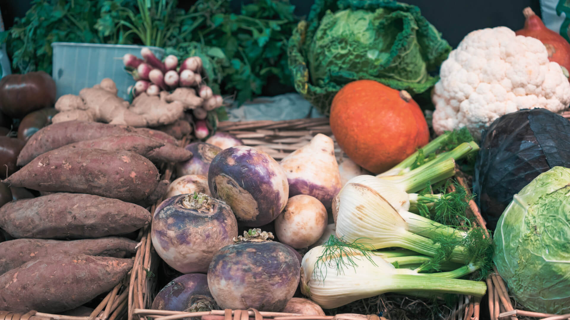 Pourquoi visiter la France en automne ?