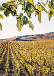 Pourquoi visiter la France en automne ?