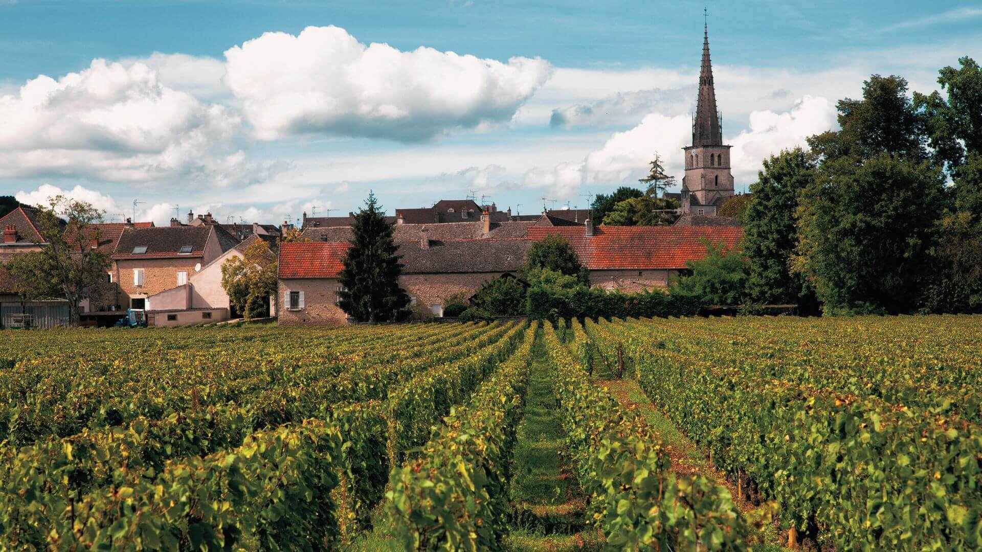 Les vins français : par où commencer ?