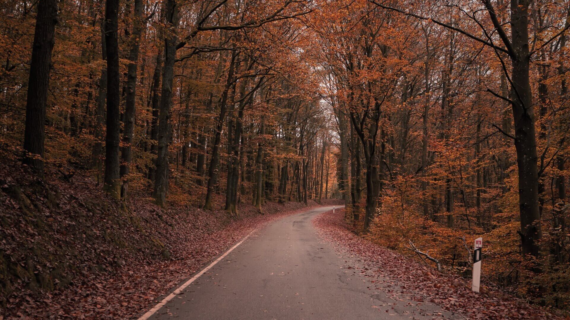 What to do in France in autumn?