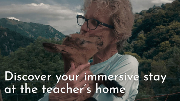 Discover your immersive stay at the teacher’s home